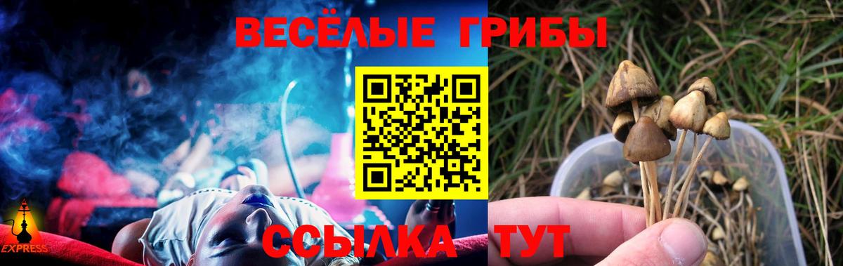 Псилоцибиновые грибы Psilocybine cubensis  Вход с VPN  Советский  Псилоцибиновые грибы Psilocybine cubensis 